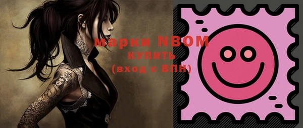 молекула духа Горнозаводск