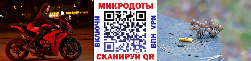 закладки  Сенгилей  Галлюциногенные грибы Magic Shrooms 